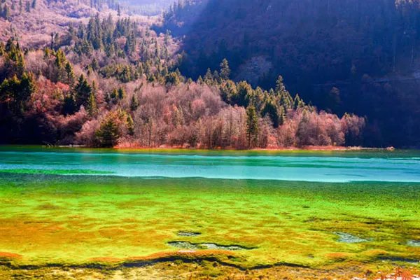 暑假带孩子去哪旅游好国内 暑假带孩子去哪旅游好