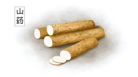 胃不好吃什么养胃