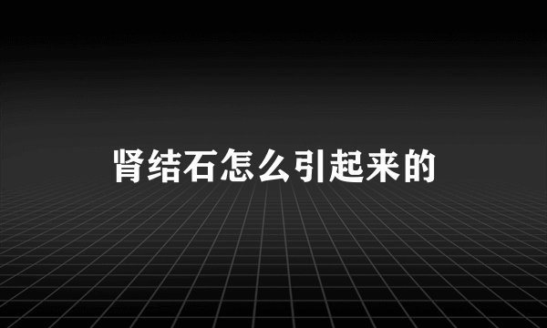 肾结石怎么引起来的