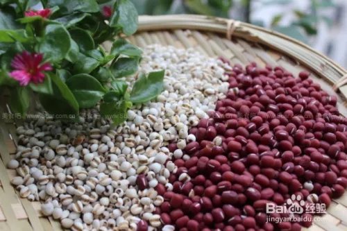 如何做葛谷美体粥