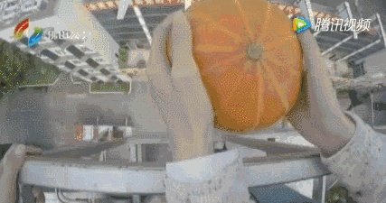 广州一女子被高空掉落的狗砸成重伤你怎么看?