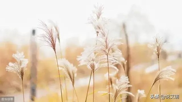 最值得一读的书推荐一下吧？