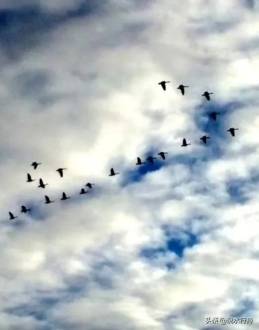 上联:请？下联:鱼虾月中游？