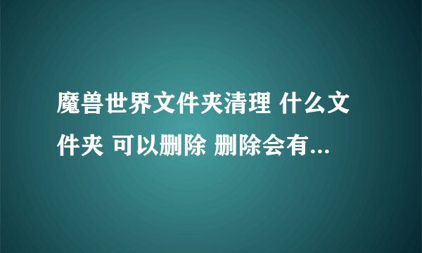 魔兽世界文件夹清理 什么文件夹 可以删除 删除会有什么影响 求详细解答 谢谢