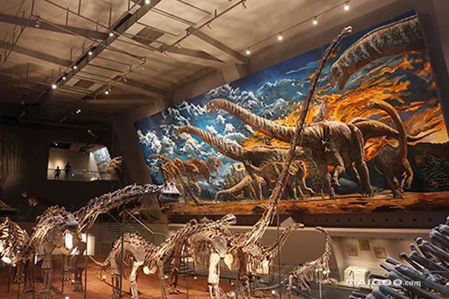 重庆博物馆名录 重庆国家博物馆名单 重庆博物馆有哪些【重庆景点】