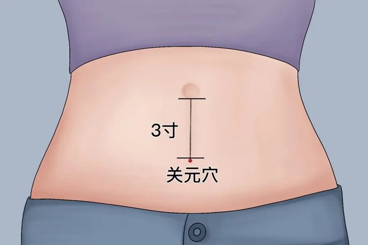 女人三伏贴贴哪个位置图片