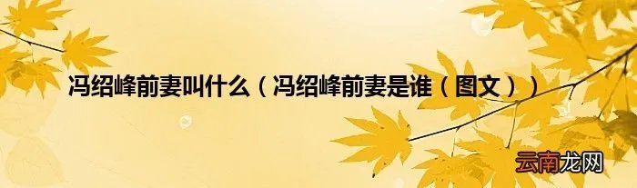 冯绍峰前妻是谁（图文 冯绍峰前妻叫什么）