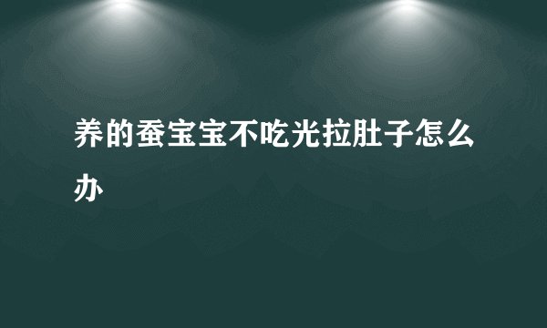 养的蚕宝宝不吃光拉肚子怎么办