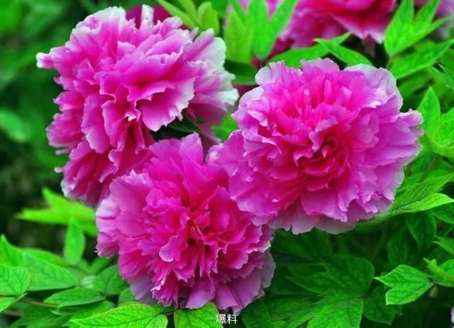 秋风冷雨夜，一夜冷一夜。如何对下联？