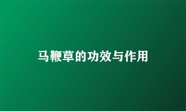 马鞭草的功效与作用