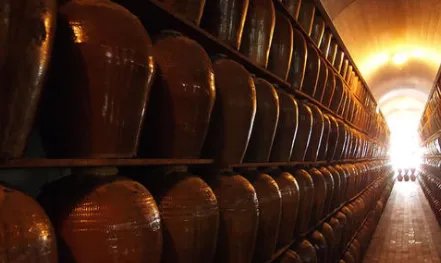 贵州茅台镇有多少酒厂？