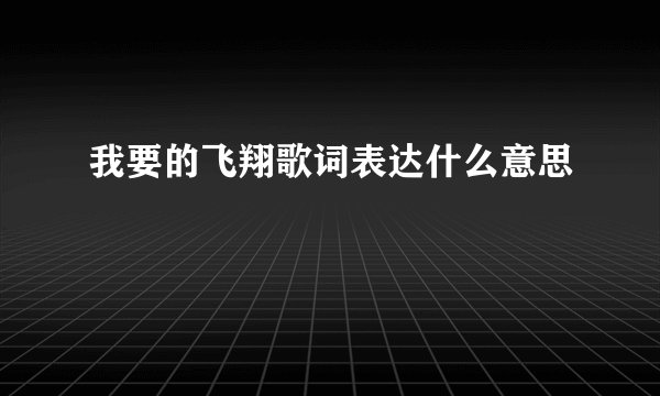 我要的飞翔歌词表达什么意思