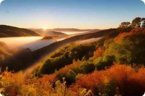 挠脚心作文 挠脚心文章