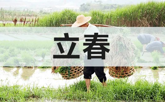 立春是2022几月几日几号几点几分？