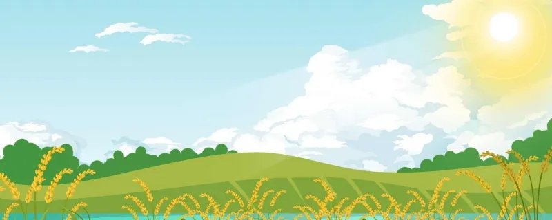 三伏天每年从什么时候开始