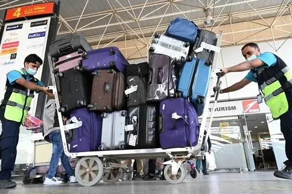 欧美疯抢中国箱包 订单已排到明年