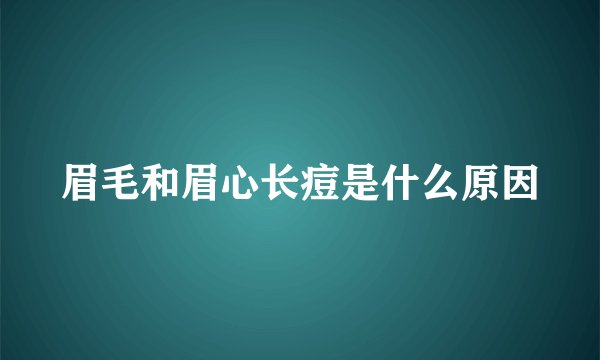 眉毛和眉心长痘是什么原因