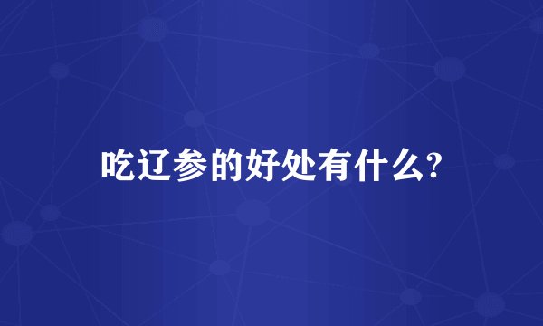 吃辽参的好处有什么?