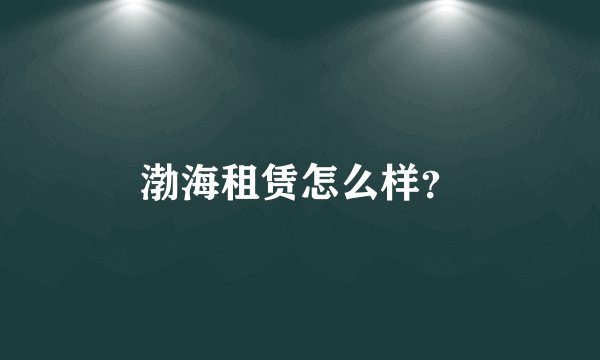 渤海租赁怎么样？