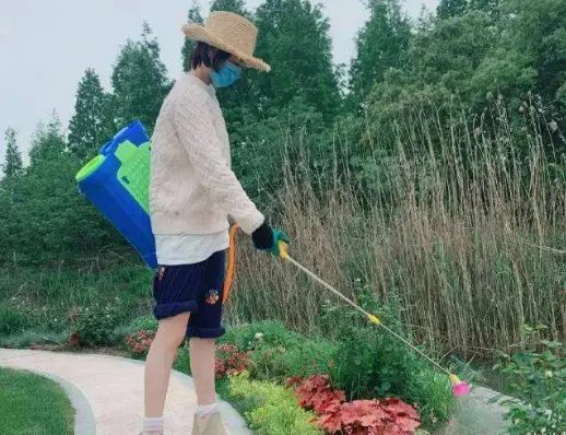 为什么张馨予微博晒照很接地气不像个明星？