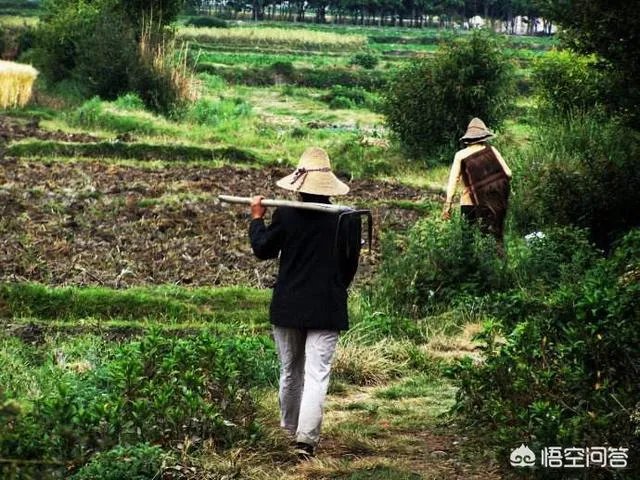 青岛西海岸未来的发展方向是怎样的?