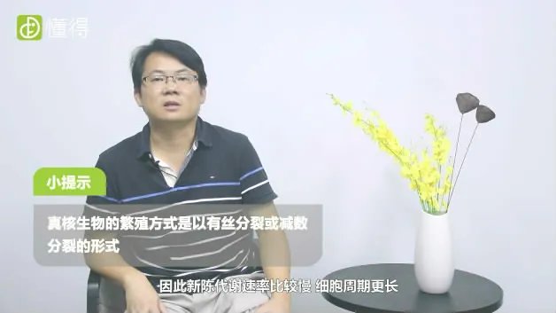 什么是真核生物