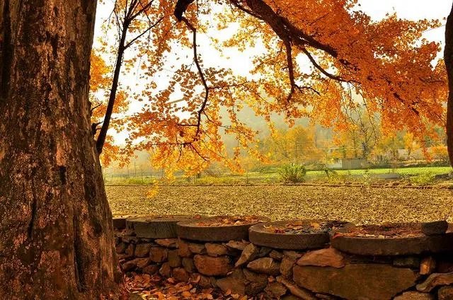 随州有哪些著名的旅游景点？