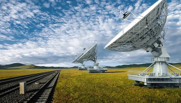 生活中还有哪些发明是受到了动物的启发 受到了动物的启发发明的东西