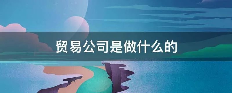 贸易公司是做什么的