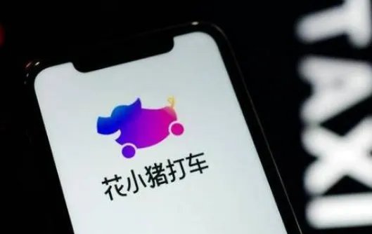 花小猪到底是什么“来头”？