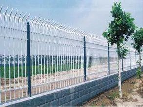 护栏网图片有吗？