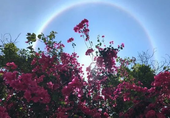 贵州多地出现了日晕景象？