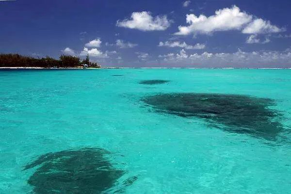 日本核废水会污染太平洋的鱼吗