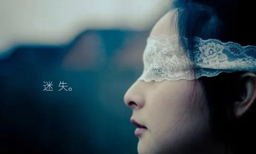 Stray是什么意思