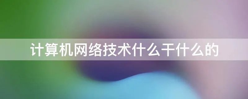 计算机网络技术什么干什么的