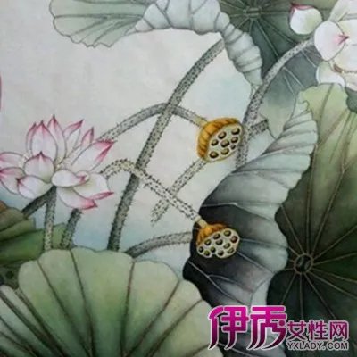 荷花素描图片大全