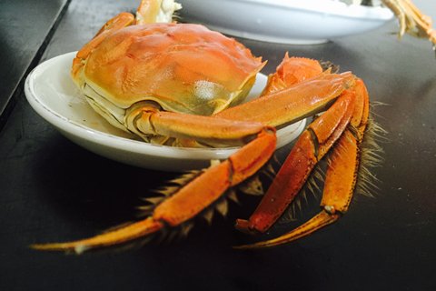 怀孕可以吃螃蟹吗