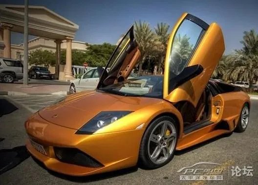 兰博基尼黄金版的基本信息