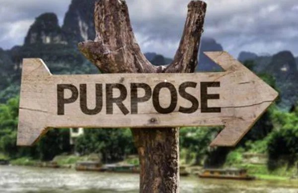 on purpose是什么意思