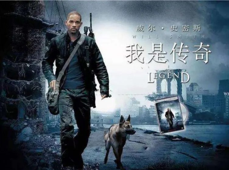 丧尸片排行榜前十名电影 十大必看丧尸电影有哪些