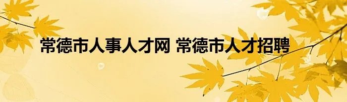 常德市人事人才网 常德市人才招聘