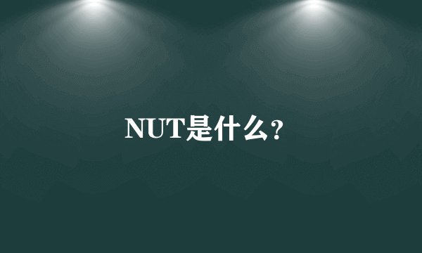 NUT是什么？