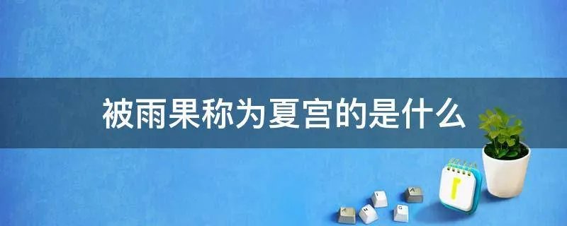被雨果称为夏宫的是什么