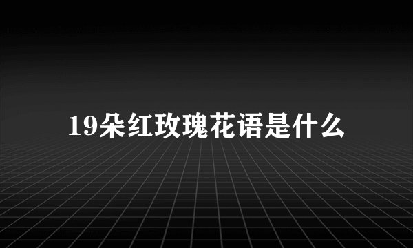 19朵红玫瑰花语是什么