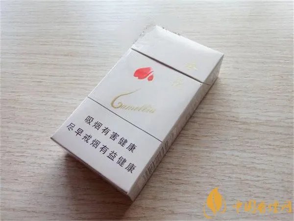 国内女士烟有哪些牌子 国产女士香烟排行榜及价格(娇子X居第一)