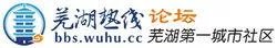 芜湖市的芜湖论坛创建于什么时候，情况是怎样的？