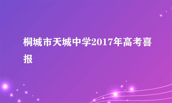 桐城市天城中学2017年高考喜报