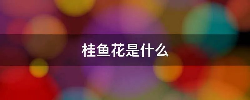 桂鱼花是什么