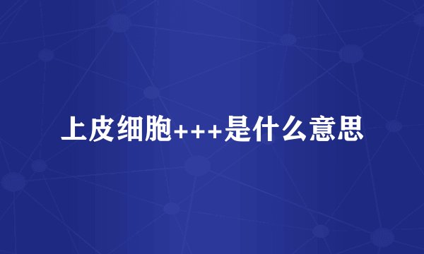 上皮细胞+++是什么意思