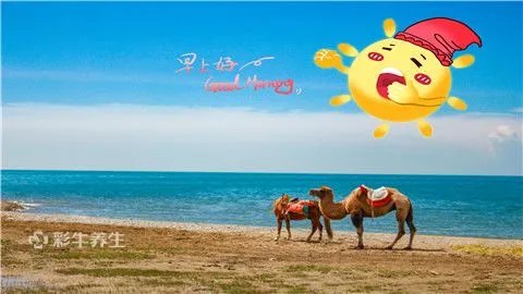 经常打哈欠是怎么回事